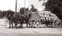 Freight wagon with 50 sacks of barley