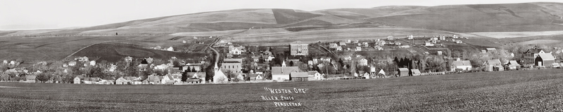 Weston, Oregon panorama